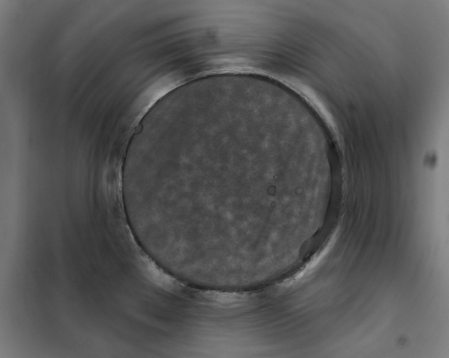 X0000101201289200807251017