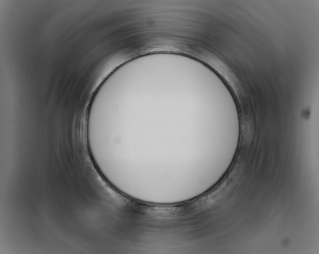 X0000101201290200807251017