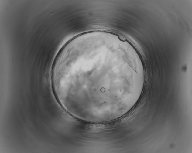 X0000101201291200807251017