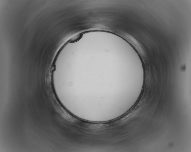 X0000101201292200807251017