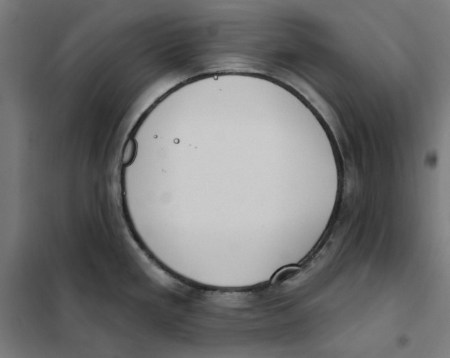 X0000101201293200807251017