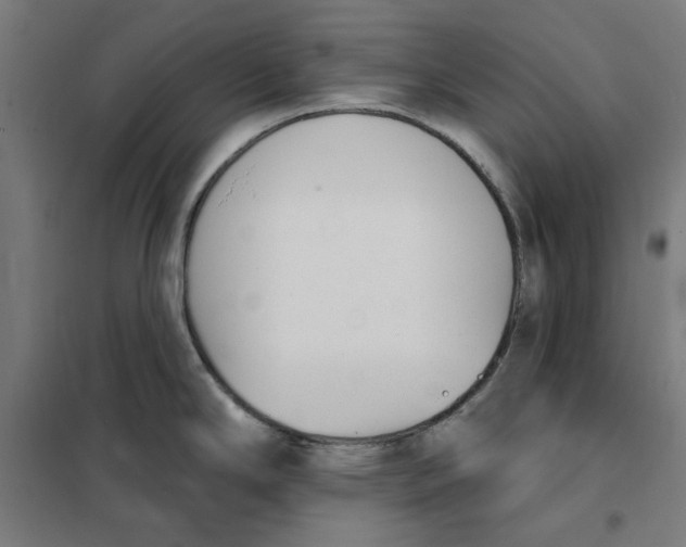 X0000101201294200807251017