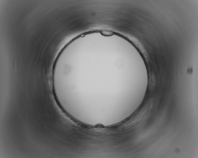 X0000101201295200807251017