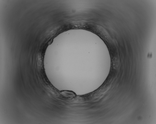 X0000101201298200807251016