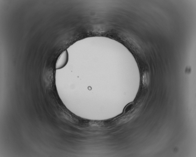 X0000101201299200807251016