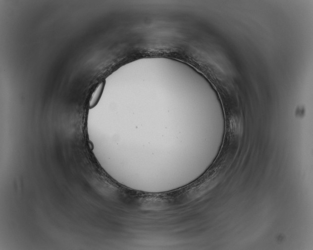 X0000101201300200807251016