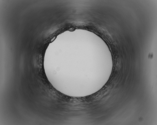 X0000101201301200807251016