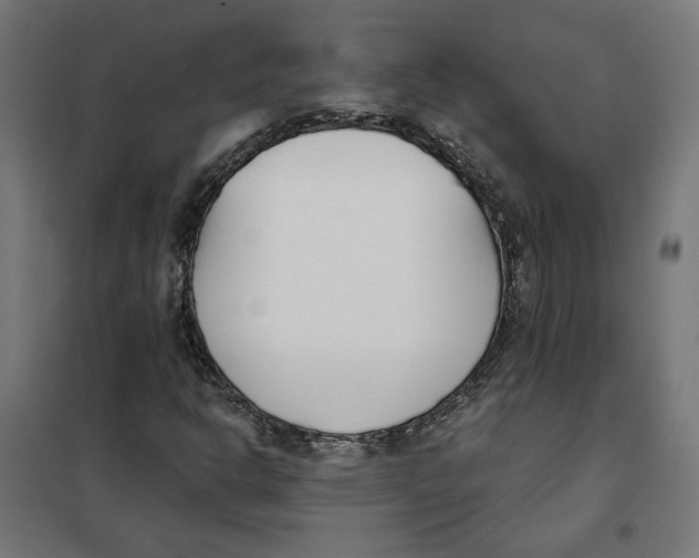 X0000101201302200807251016