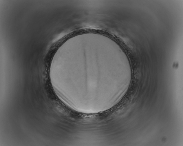 X0000101201303200807251016