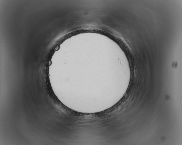 X0000101201304200807251016