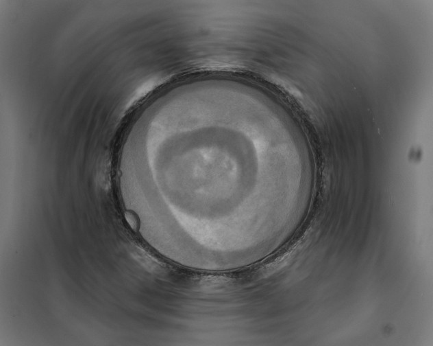 X0000101201306200807251016