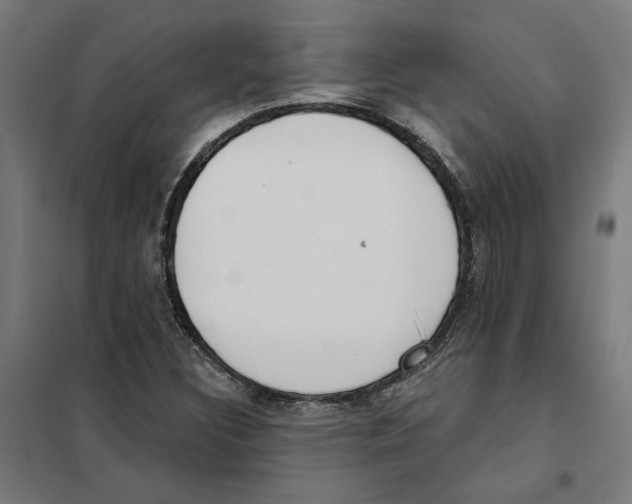 X0000101201308200807251016