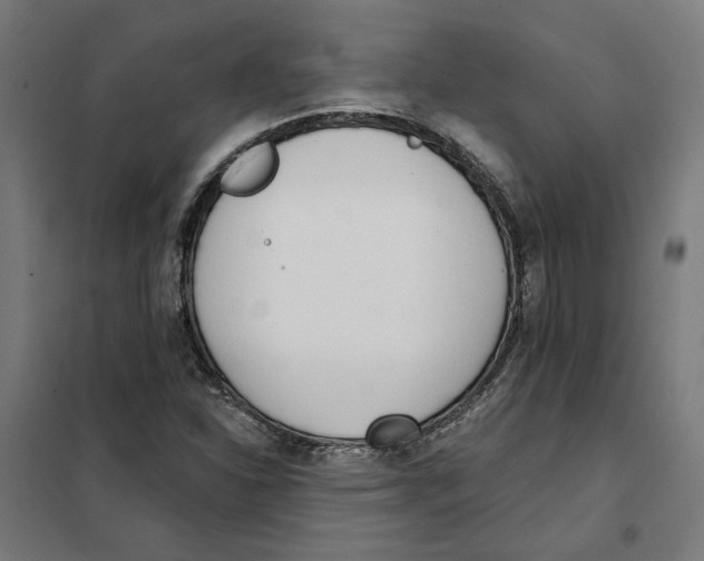 X0000101201310200807251016