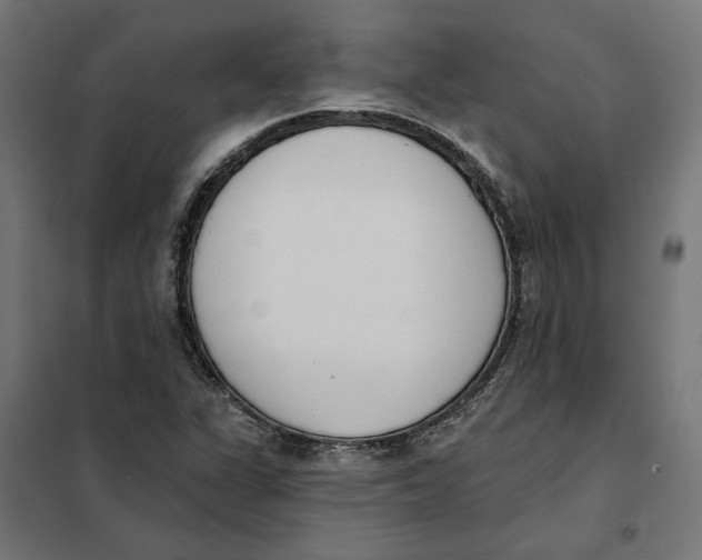 X0000101201311200807251016