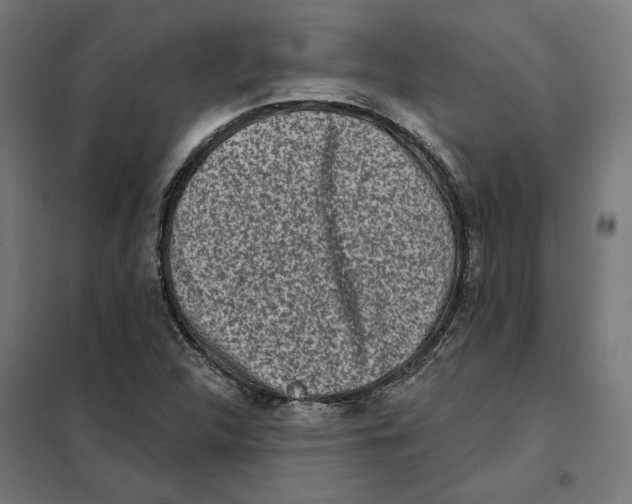 X0000101201312200807251016