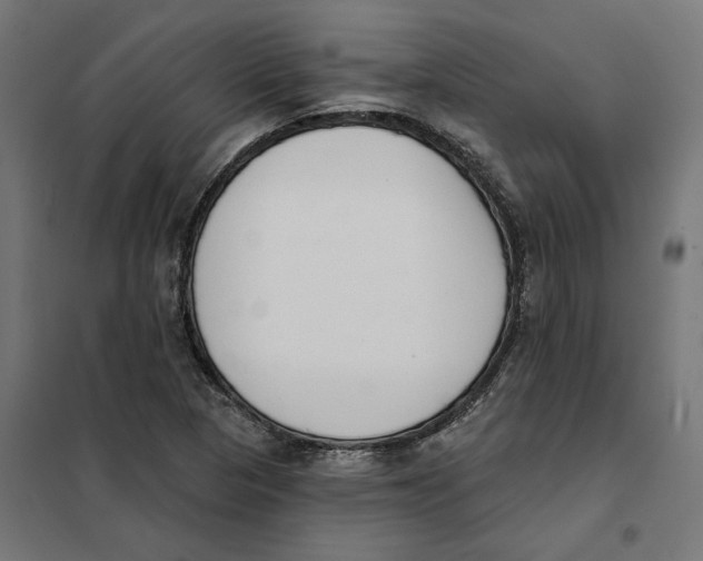 X0000101201313200807251016