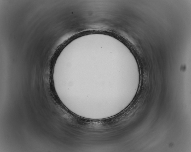 X0000101201315200807251016