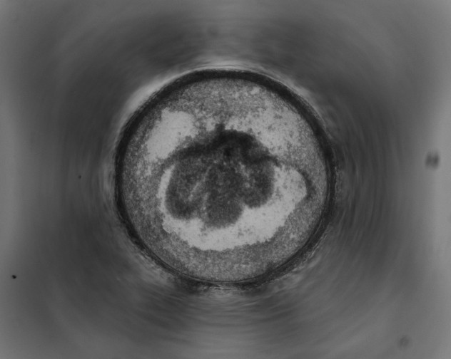 X0000101201319200807251016