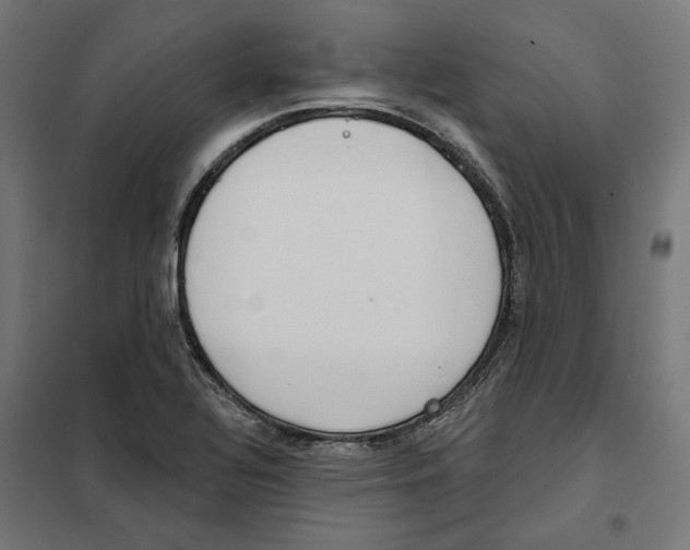 X0000101201320200807251016