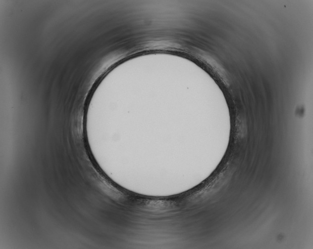 X0000101201322200807251016