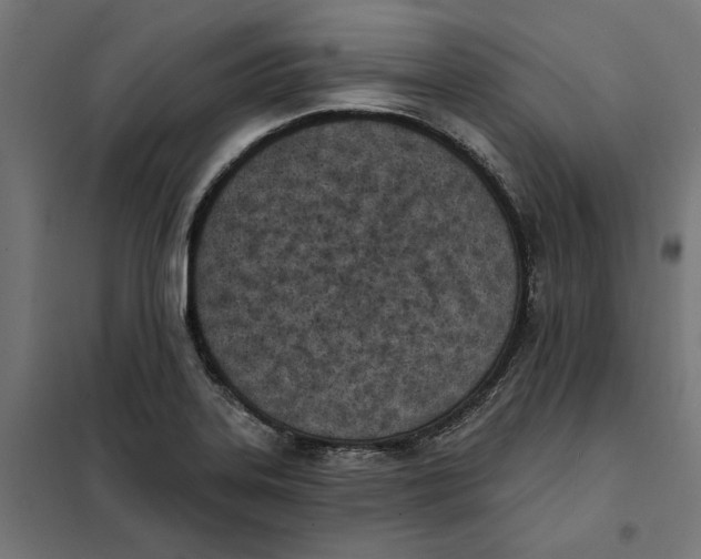 X0000101201323200807251016