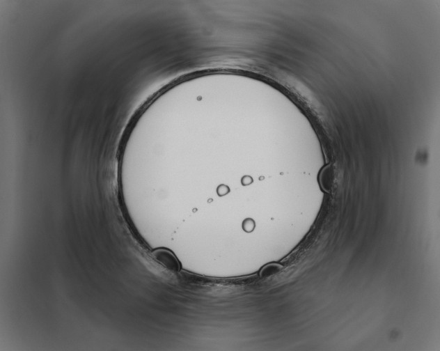 X0000101201324200807251016