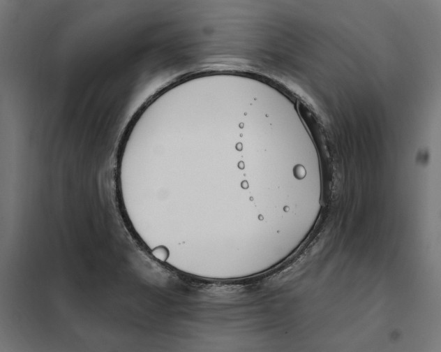 X0000101201325200807251016