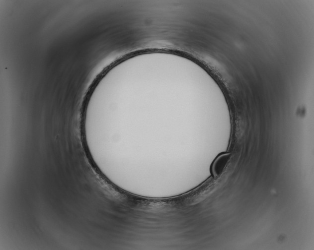 X0000101201326200807251016