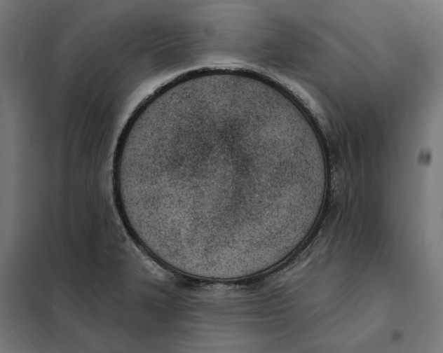 X0000101201327200807251016