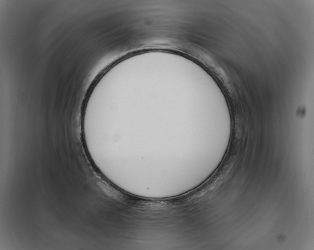 X0000101201328200807251016