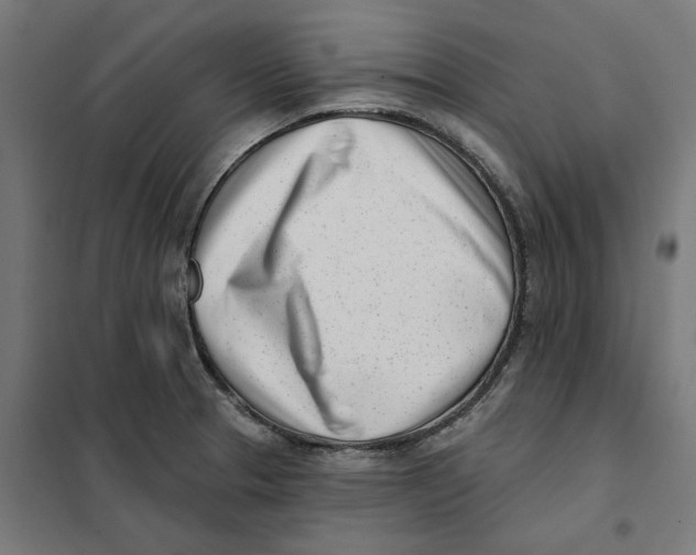 X0000101201329200807251016