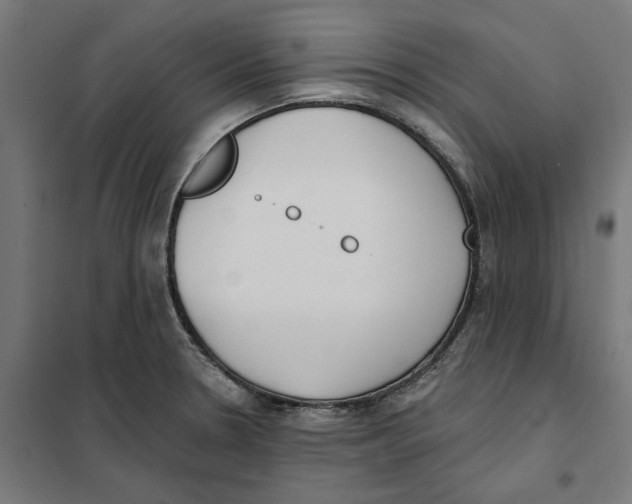 X0000101201330200807251016