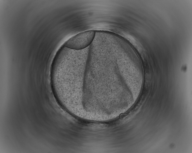 X0000101201331200807251016