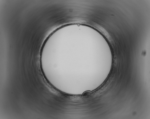 X0000101201332200807251016