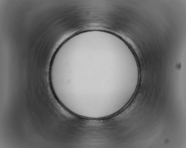 X0000101201333200807251016