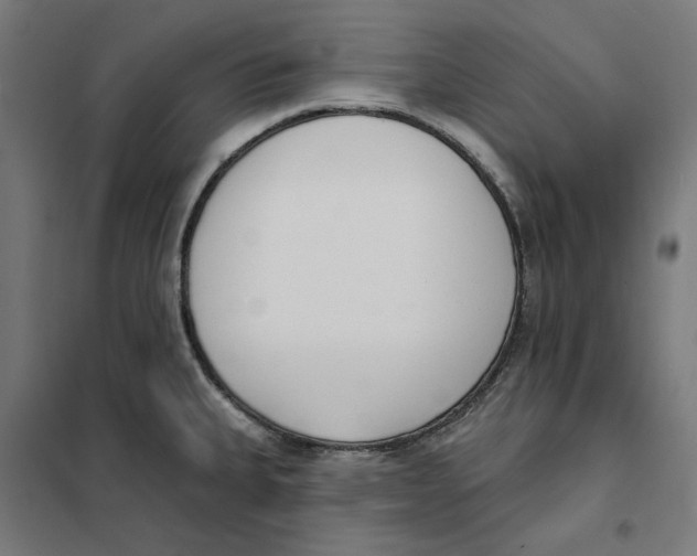 X0000101201335200807251016