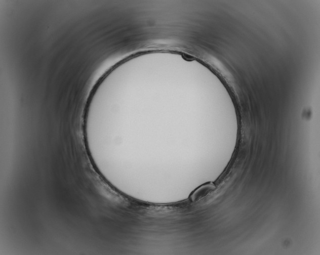 X0000101201336200807251016