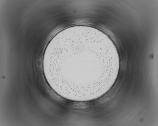 X0000101201338200807251016