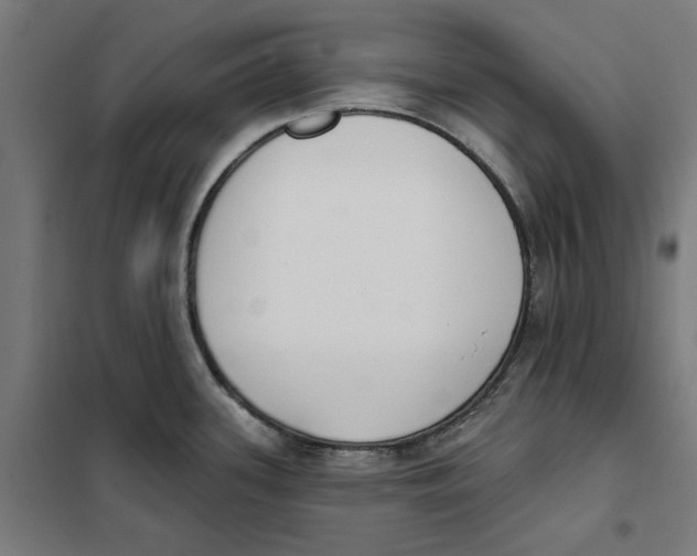 X0000101201339200807251016