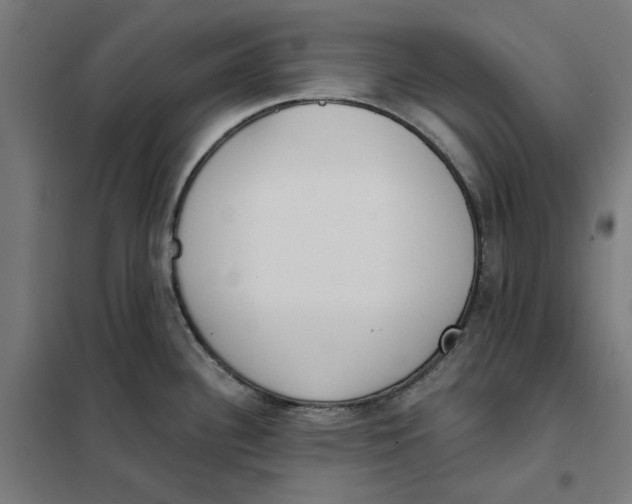 X0000101201340200807251016