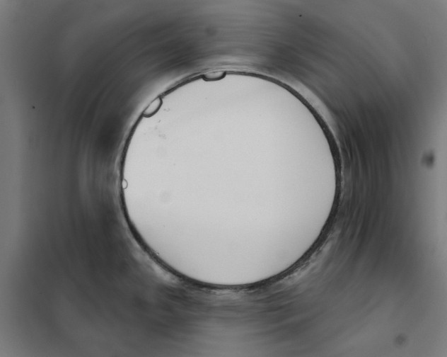 X0000101201341200807251016