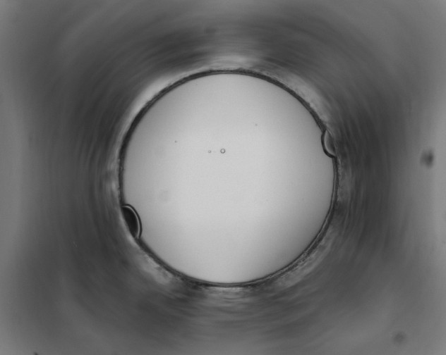 X0000101201342200807251016