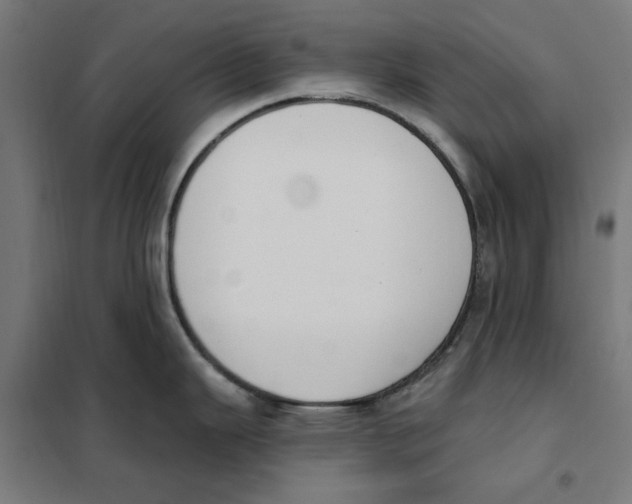 X0000101201343200807251017