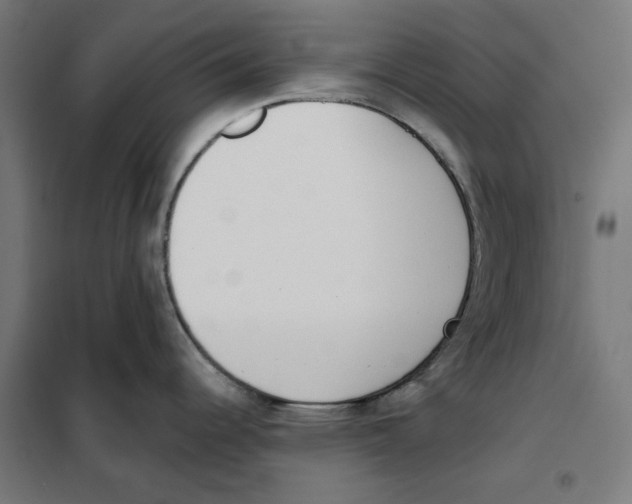 X0000101201344200807251017