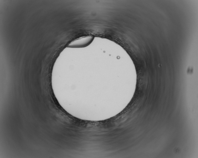 X0000101201345200807251016