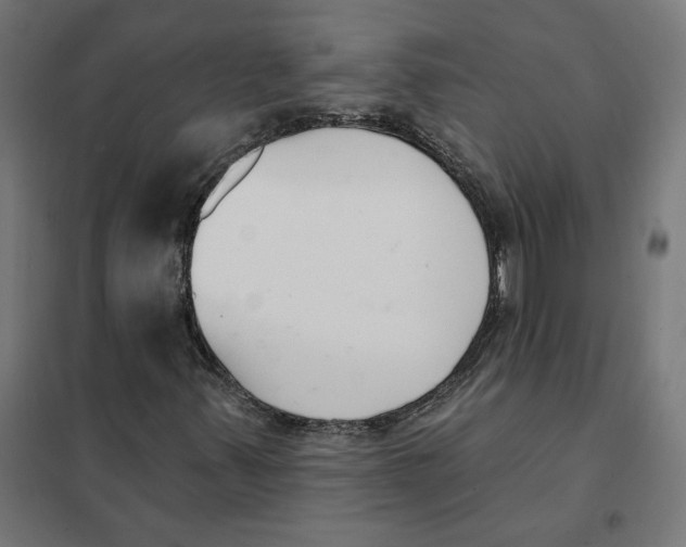 X0000101201347200807251016