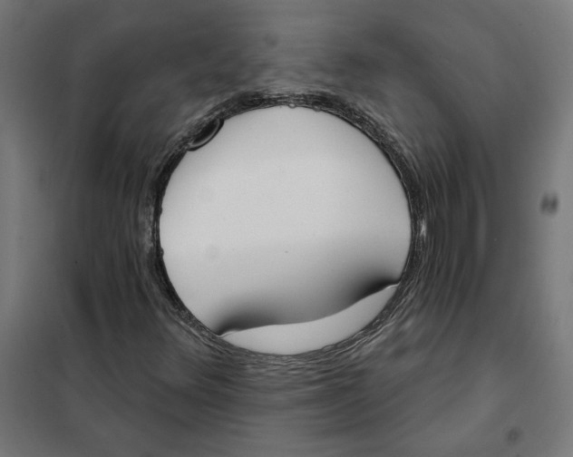 X0000101201348200807251016