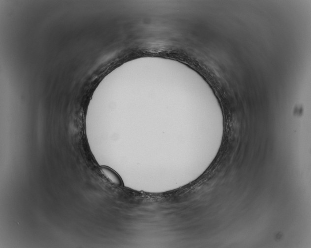 X0000101201349200807251016