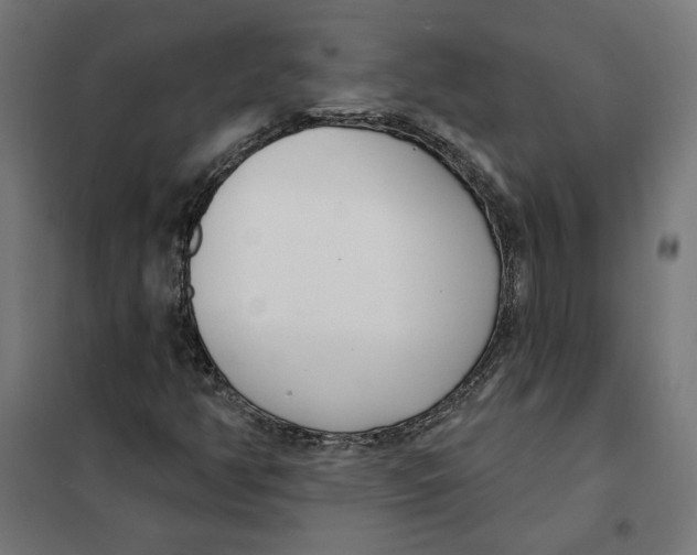 X0000101201350200807251016