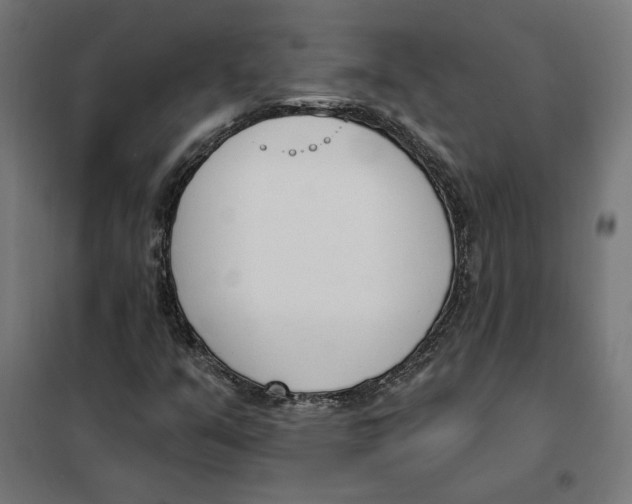 X0000101201351200807251016